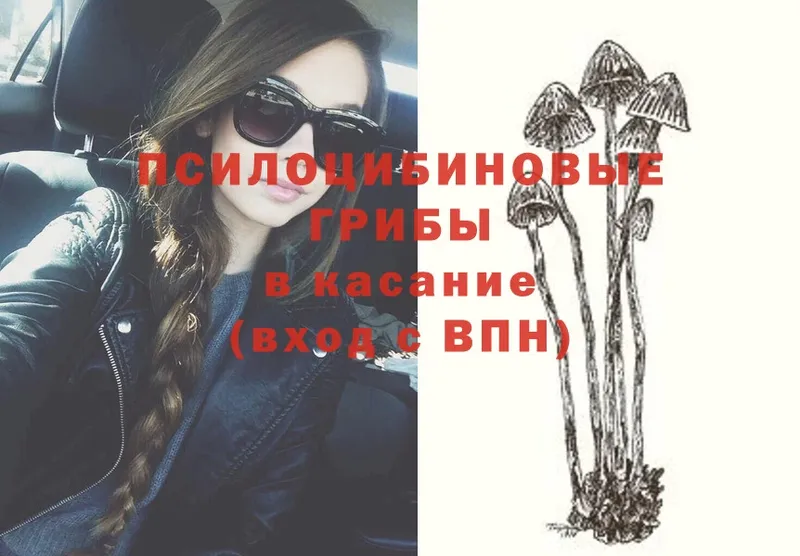 Галлюциногенные грибы Psilocybine cubensis  KRAKEN как зайти  Киселёвск 